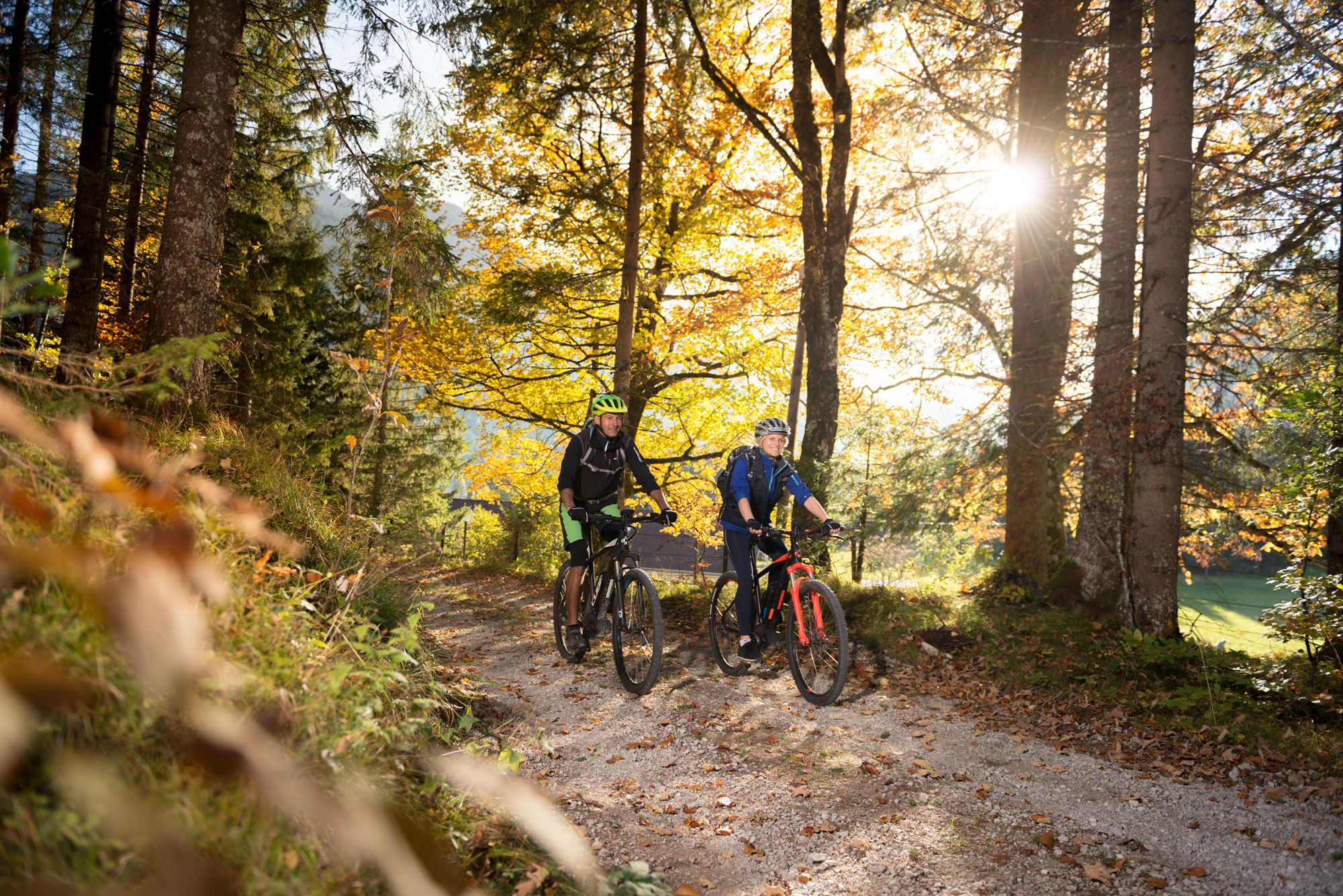 Zwei Mountainbiker im Wald bei Sonnenschein